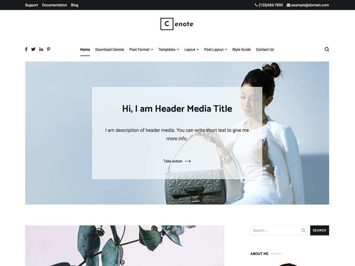 free wordpress blog themes